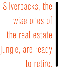 silverbacks older realtors