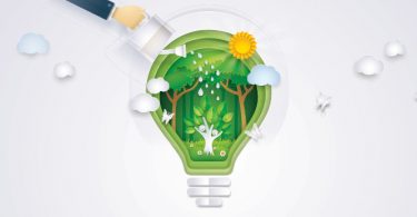 lightbulb with forest inside