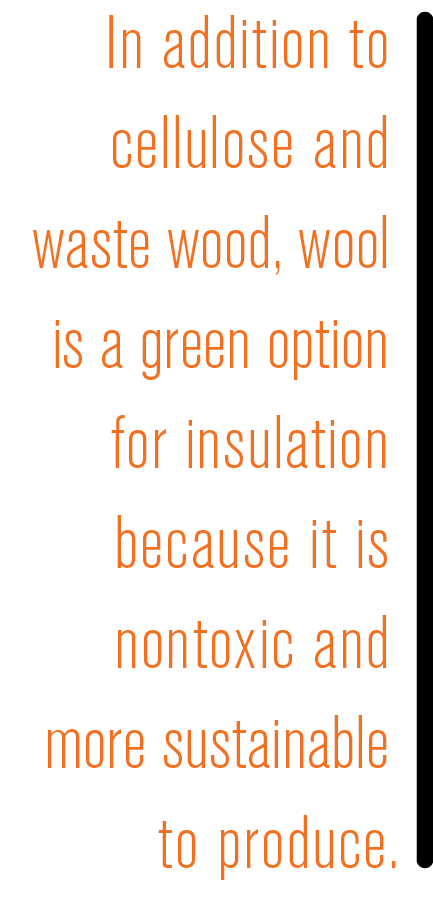 green insulation options