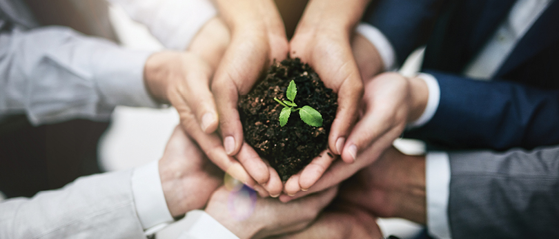 hands holding growing plant