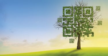 qr code tree in a field