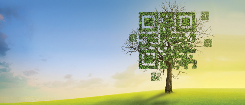 qr code tree in a field