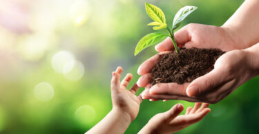 parent handing seedling to a child