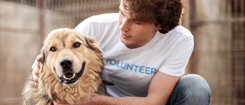 man petting rescue dog